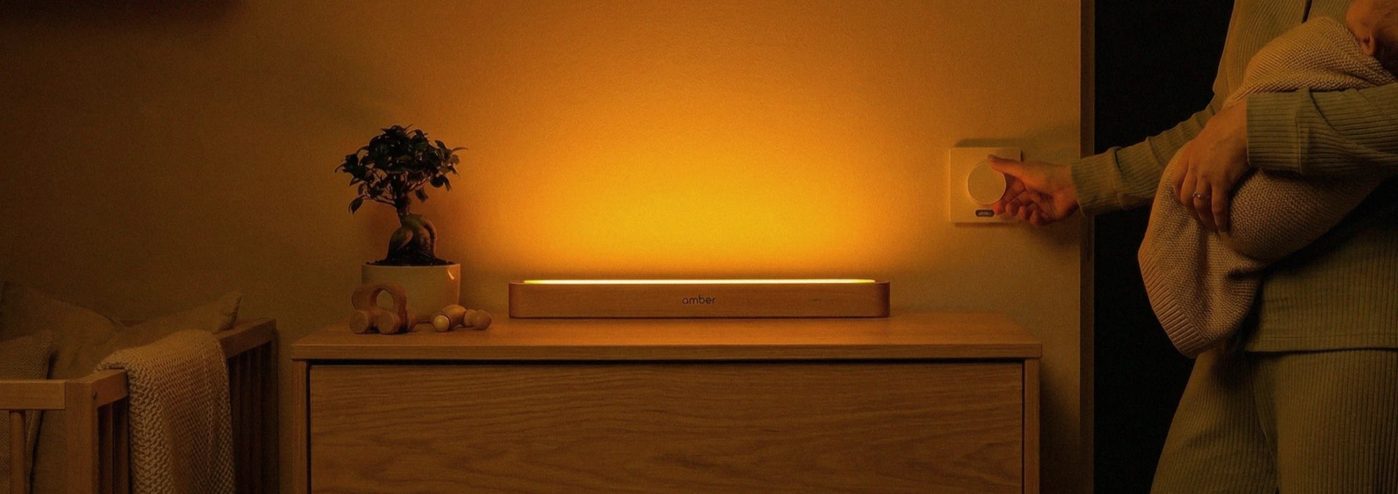 Amber Intorduction Video